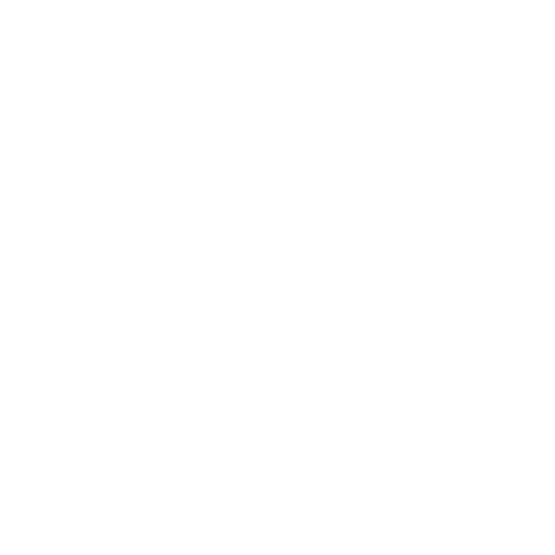 Digital Beavers Logo White